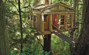 27 Amazing Tree Houses To Bring Out The