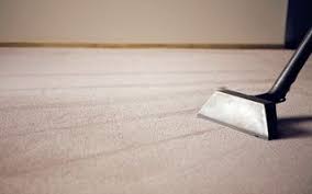 2024 carpet removal cost thumbtack com