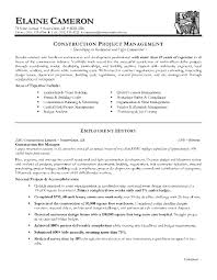 Construction Resume Template Gerhard Leixl Professional Word Project