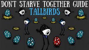 Don't Starve Together Guide: Tallbirds - YouTube