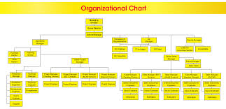 Bin Ghurair Trading Llc Bgt Organization Chart