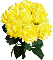 Maybe you would like to learn more about one of these? Amazon Com Mandy S Artificial Real Touch 17 Yellow Silk Roses Flowers For Home Decoration Bridal Wedding Bouquet And Parties Vase Not Include Home Kitchen