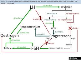 Bioknowledgy Presentation On 6 6 Hormones Homeostasis And