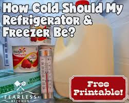 Whether putting food in the refrigerator, the freezer, or the cupboard, you have plenty of keeping foods chilled at proper temperatures is one of the best ways to prevent or slow the growth of these bacteria. How Cold Should My Refrigerator Freezer Be My Fearless Kitchen