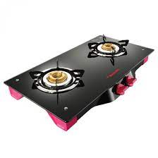 Erfly Spectra 2 Burner Gas Stove