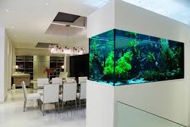 22 Spectacular Room Dividers With Modern Aquarium | HomeMydesign gambar png