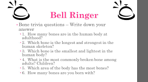 Read on for some hilarious trivia questions that will make your brain and your funny bone work overtime. Bell Ringer Bone Trivia Questions Write Down Your Answer 1 How Many Bones Are In The Human Body At Adulthood 2 Which Bone Is The Longest And Strongest Ppt Download