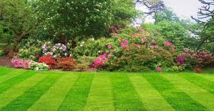 Are you wondering how much it costs to hire a lawn care company? Professional Lawn Care Torte