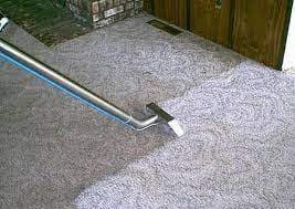 carpet cleaner auckland steam n dry