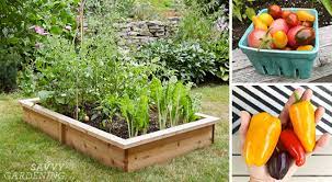 4x8 raised bed vegetable garden layout