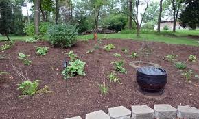 how to spread mulch the right way