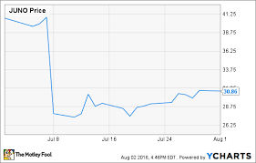 Why Juno Therapeutics Inc Stock Fell 24 In July The