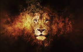 Best Wallpapers Lion
