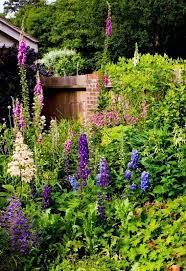 12 Must Have Cottage Garden Plants To