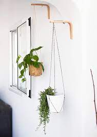 Plants Interior Hanging Plants Indoor