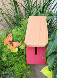 Check spelling or type a new query. Build A Butterfly House With 3 In Lumber Dream A Little Bigger