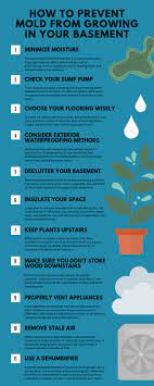 how to prevent mold from growing in