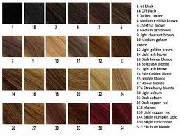 Hair Color Guide Chart Pecenet Com