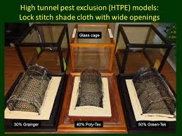 Pest exclusion is the first line of defense against invasion by exotic pests. Journal Of The Nacaa Effect Of High Tunnel Pest Exclusion System On Two Natural Enemies