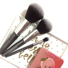 review platinum beauty brushes a