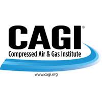 Preview download pdf copy link. Compressed Air Gas Institute Cagi Linkedin
