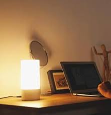 The 7 Best Ambient Light Lamps For Indoor Outdoor In 2020