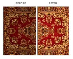 area rugs b n carpet care carpet