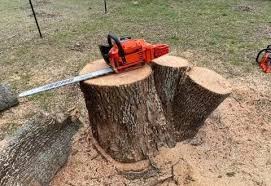 Maybe you would like to learn more about one of these? Tree Removal Services Georgetown Tx Temple Tx Texas Tree Medics