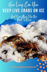 how long can crabs be kept on ice
