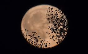 Full Moon Sept 2022 Vaud - a7XRAG-70XgFdM