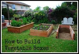 Vegetable Boxes Garden Boxes