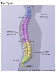 The fishbone diagram helps one group these causes and provides a structure in which to display them. Upper Middle Back Pain Symptoms Causes Risk Factors