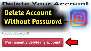 how to delete insram account without