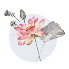 We did not find results for: Lotus Flower Meaning In Christianity Symbolshub Org