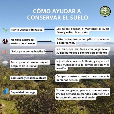 🌱 En el día de la conservación del suelo, recordamos la importancia y valor que representa para el ciclo de la vida. • . • 🌱 Los suelos brindan servicios ecosistémicos