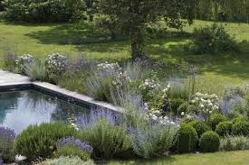 garden design charlotte rowe