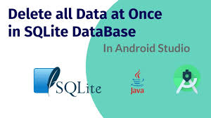 data at once in the sqlite database