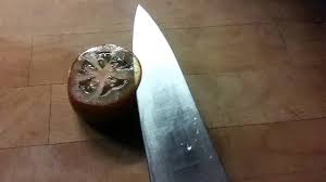 Image result for sharp knife