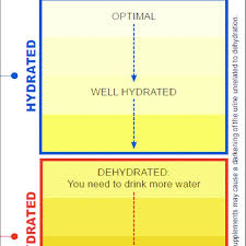 Us Army Public Health Command Urine Color Hydration Chart