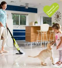 h20 hd advanced steam cleaner mop for floor