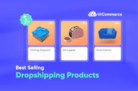 best selling dropshipping s in 2024