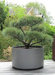 extra large round outdoor planter pot