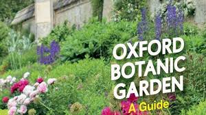 Oxford Botanic Garden A Guide Book