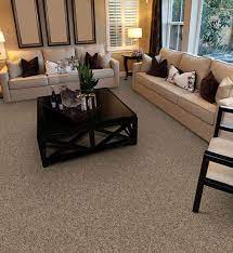 dixie home carpet with stainmaster pet