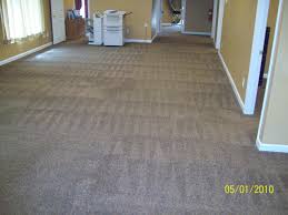 busy bee carpet cleaning reviews