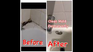 how to clean mold from kitchen sink