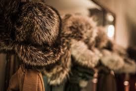 fur clothing ethics and sustaility