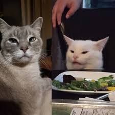 All will bring a smile to your face. Phiggy So How Are You Enjoying Your Meal Meme Cat I Said Soup Physiquetacademy Cats Cat Memes Plush Pet Bed