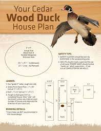 Selecting a style home : 25 Ducks Ideas Duck Hunting Waterfowl Hunting Bird Hunting
