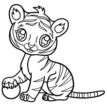 how to draw a baby tiger step by step